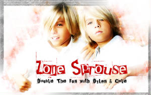 zonesprouseintro.jpg